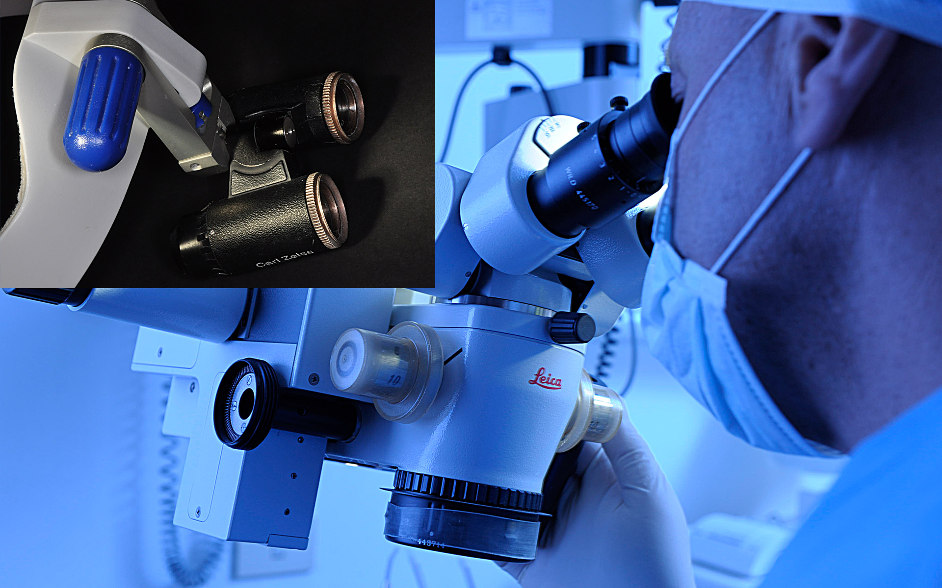 Microscopio